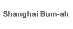 Shanghai Bum-ah Company Logo
